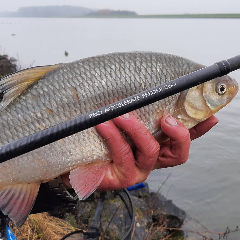 Canne Feeder Cresta Identity Pro Accelerate Feeder Rod