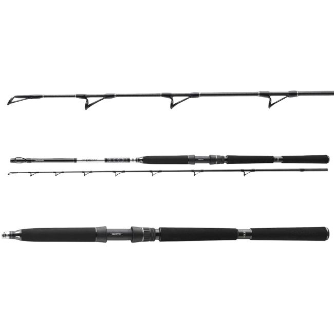 Canne Bateau Daiwa BG Deep Sea Boat Rod