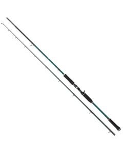 Abu Garcia Beast X Pike Casting Fishing Rod