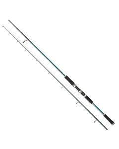 Abu Garcia Beast X Pike Spin Fishing Rod
