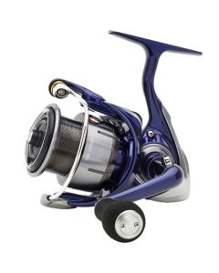 Daiwa 24 TDR Match & Feeder QD Rolle