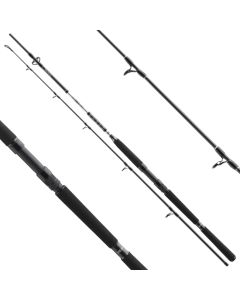 Daiwa BG Offshore Boat Rod