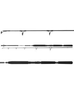 Daiwa BG Popper Sea Spinning Rod
