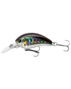 Daiwa Tournament Baby Crank Floating Mini Crankbait Lure Kibinago