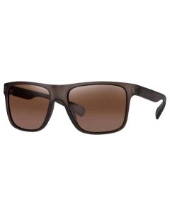 Fox Avius Trans Khaki Sunglasses - Brown Lens
