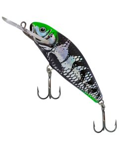 Salmo Perch Lure Holo Dark Green Head