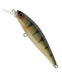 Illex Squad Minnow SP Fishing Lure