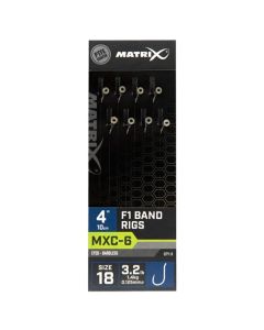 Matrix MXC-6 F1 Band 10cm Rigs