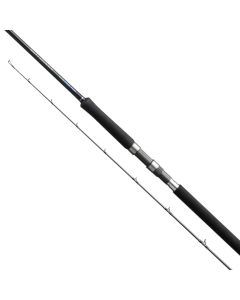 Shimano Salty Advance Shore Jigging Spinning Rod