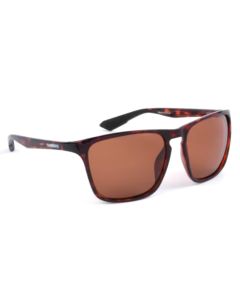 Shimano Ultegra Sunglasses - Tortoiseshell Frame & Copper Lens