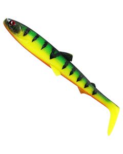 Tiger Perch