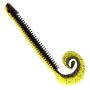 Black/Chartreuse