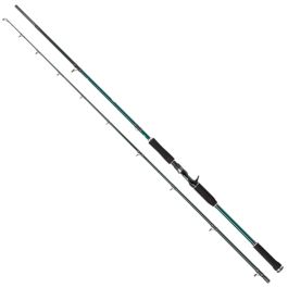 Abu Garcia Beast X Pike Casting Fishing Rod