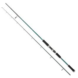 Abu Garcia Beast X Pike Spin Fishing Rod