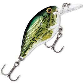 Rapala DT Dives-To Series Fishing Lure