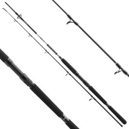 Daiwa BG Offshore Boat Rod