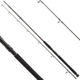 Daiwa Exceler Catfish Spinning Rod