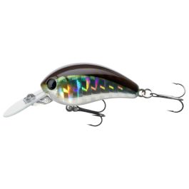 Daiwa Tournament Baby Crank Floating Mini Crankbait Lure Kibinago