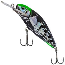 Salmo Perch Lure Holo Dark Green Head