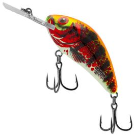 Salmo Rattlin Hornet Floating Lure Holo Red Perch