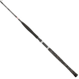 Penn Legion Cat Silver Vertical Fishing Rod