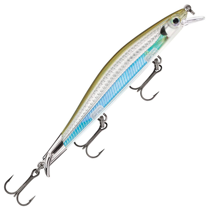Moss Back Shiner