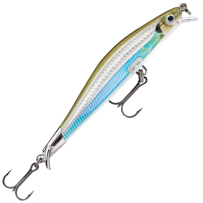 Moss Back Shiner