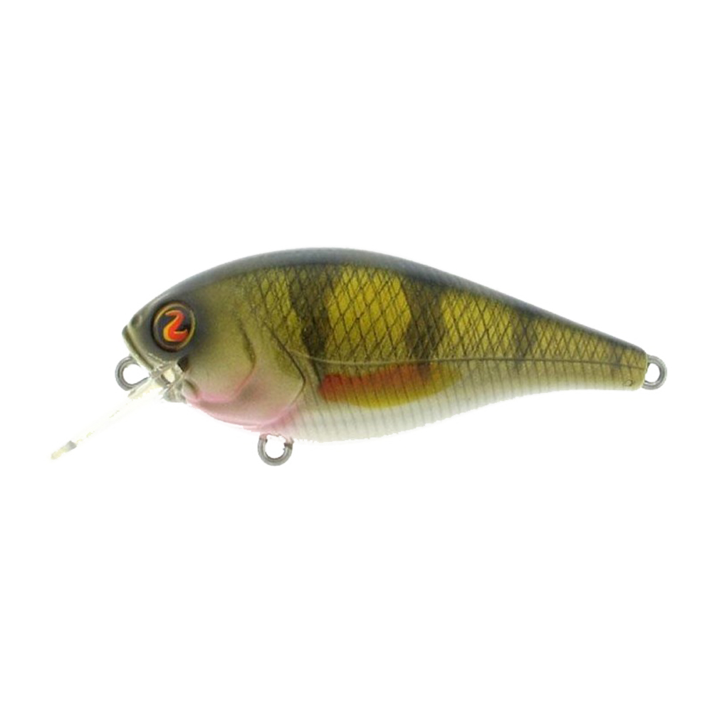 Real Perch