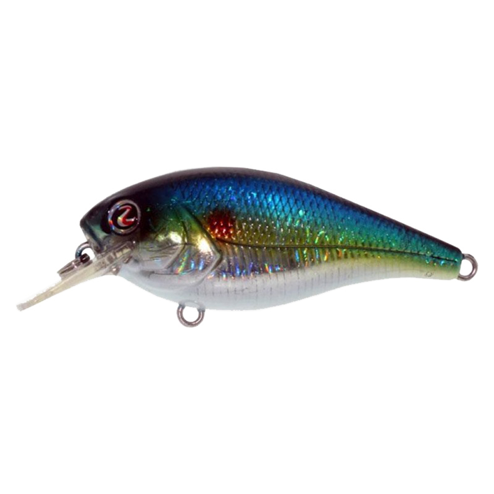 Horizon Shad
