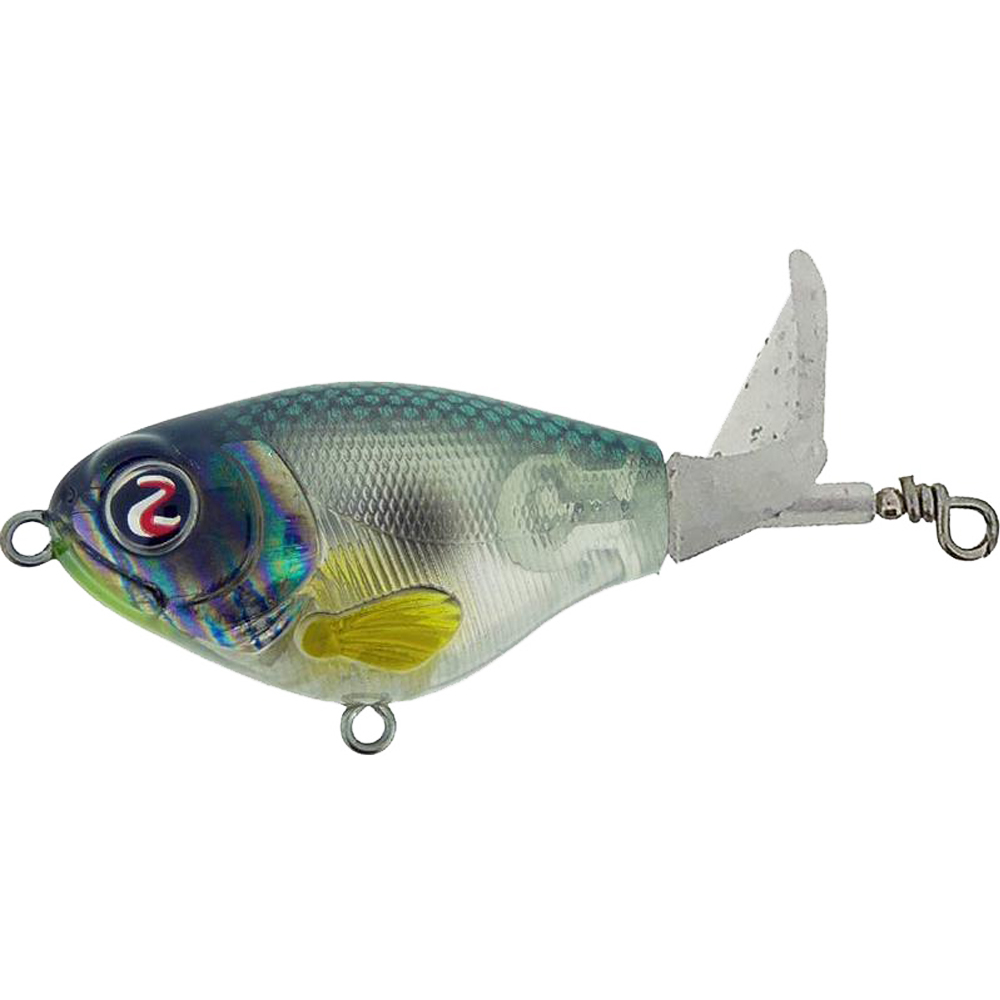 Abalone Shad