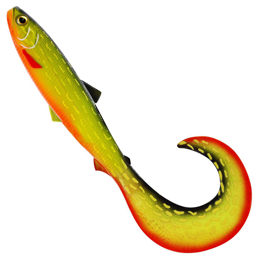Baltic Pike