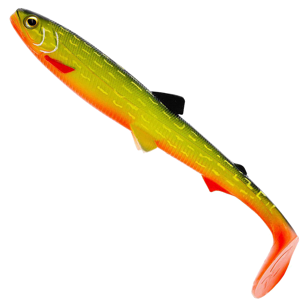 Baltic Pike