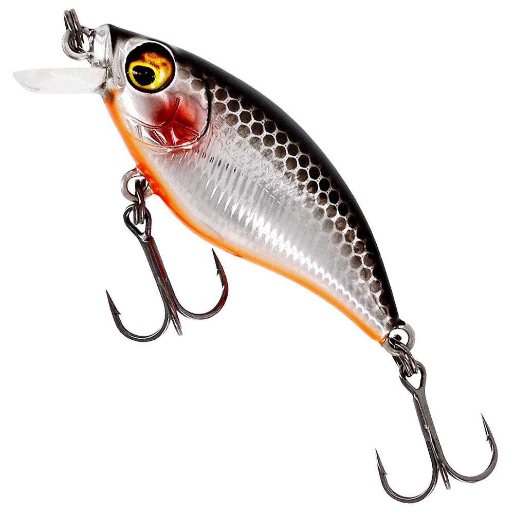 Steel Sardine