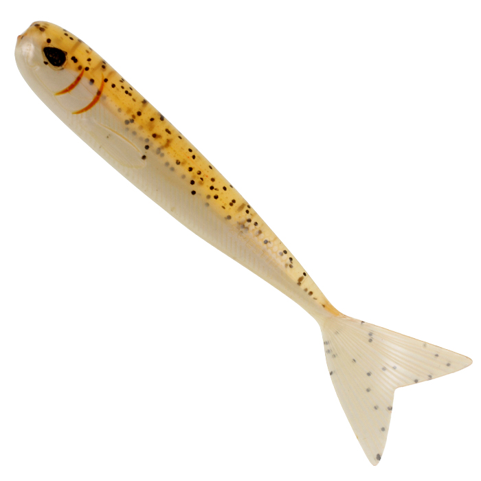Baitfish