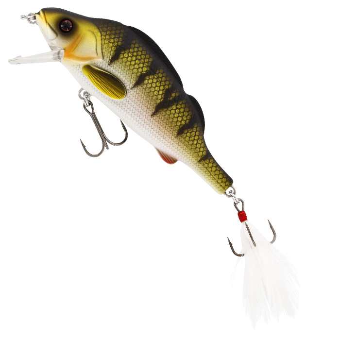 Dull Perch