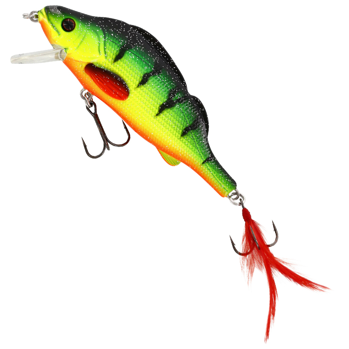 Fancy Firetiger