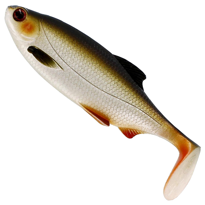 Lively Roach